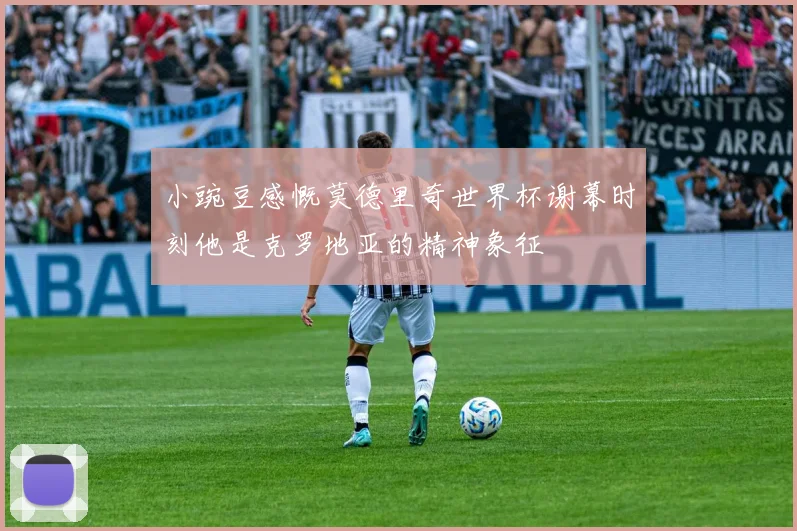 小豌豆感慨莫德里奇世界杯谢幕时刻他是克罗地亚的精神象征