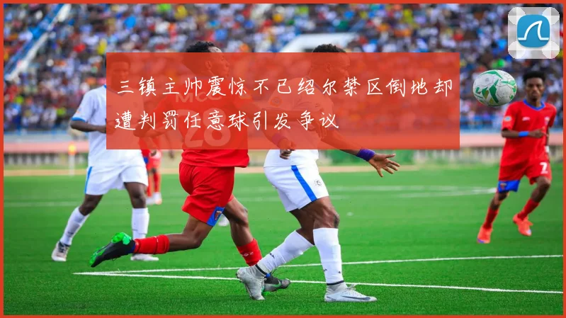 三镇主帅震惊不已绍尔禁区倒地却遭判罚任意球引发争议
